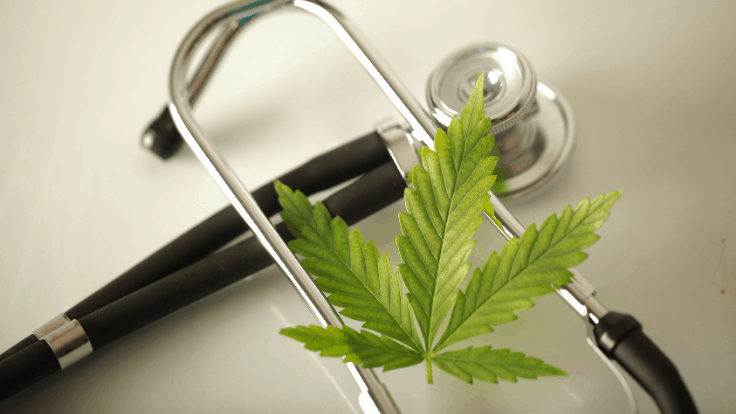 Medical Cannabis Kentucky